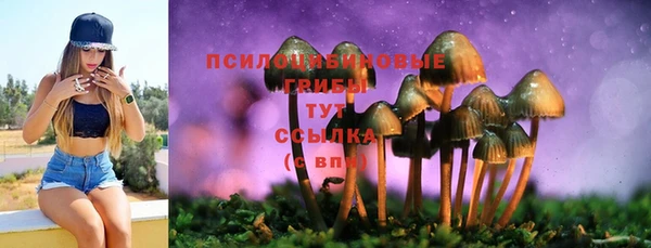 трава Бикин