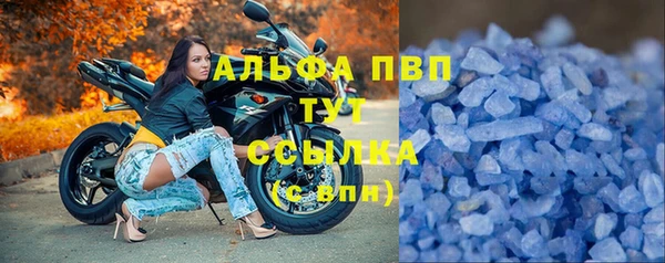 трава Бикин