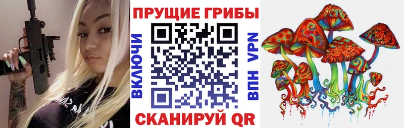 что такое наркотик  Иннополис  МЕГА ССЫЛКА  Галлюциногенные грибы мицелий 