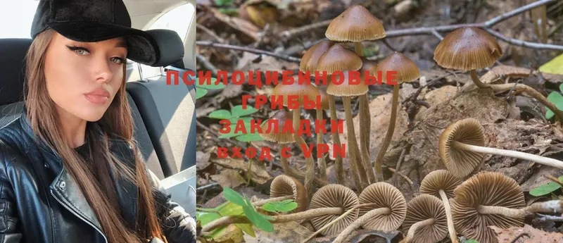 mega как войти  Иннополис  Галлюциногенные грибы Psilocybe 